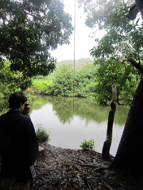 IMG 0451 copy